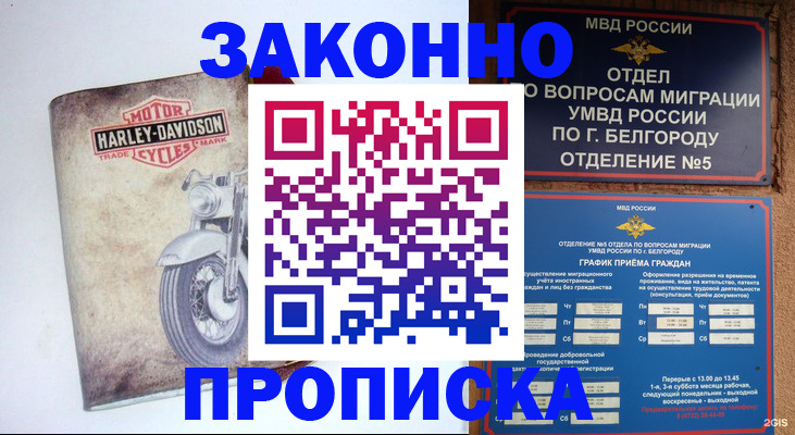 прописка для школы в Струнино